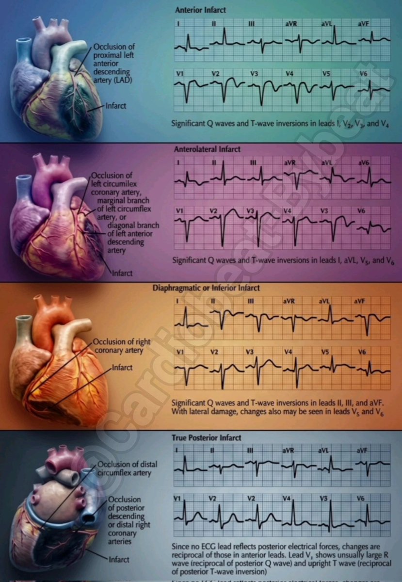 AbdAllah Othman tweet media