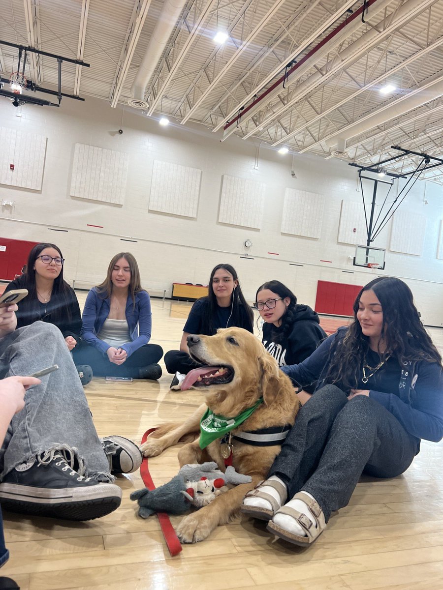 East High School tweet media