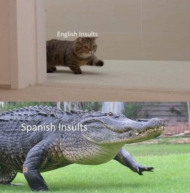 M O T I V A N D O T E (@m0tivand0te) on Twitter photo 