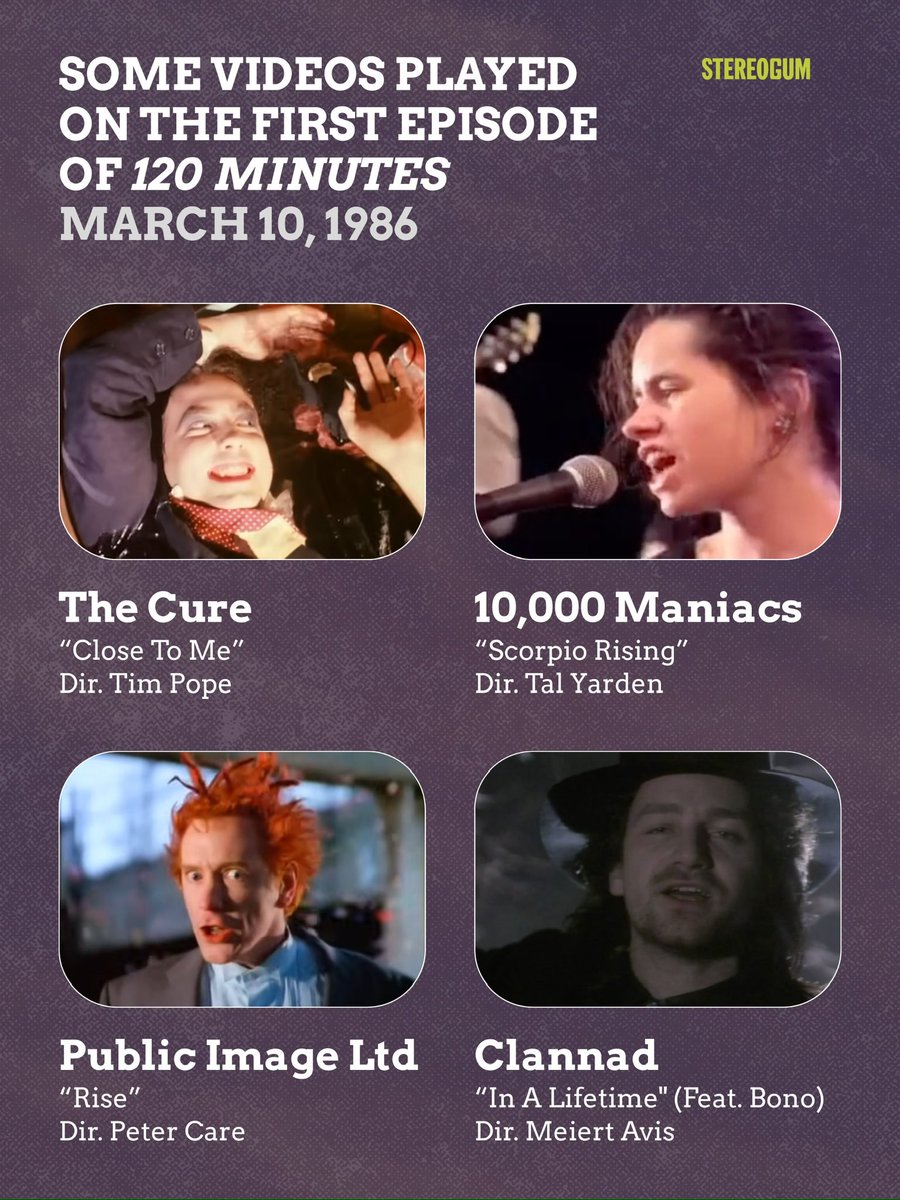 Stereogum tweet media