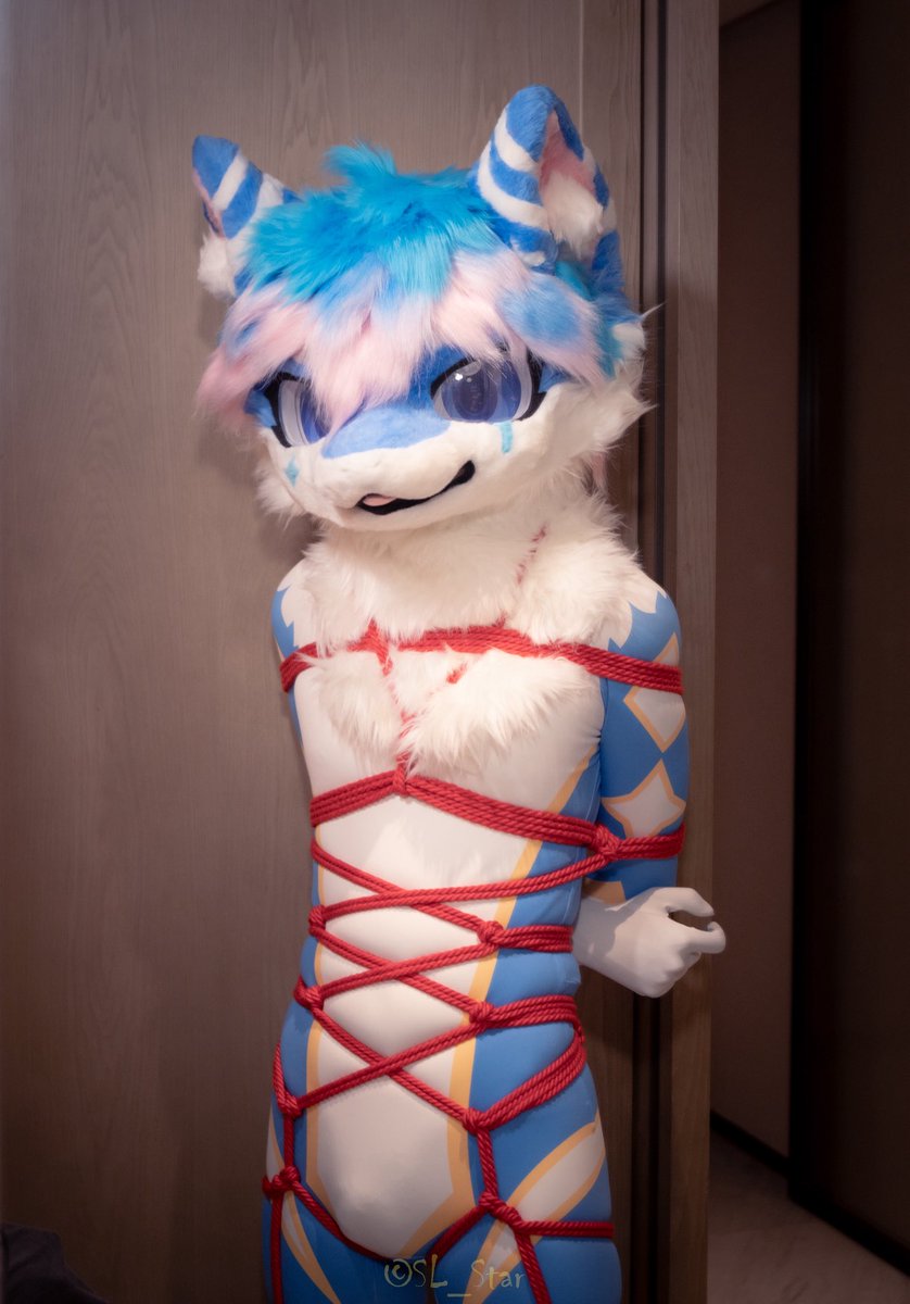 汐灵灵🔜HF tweet media