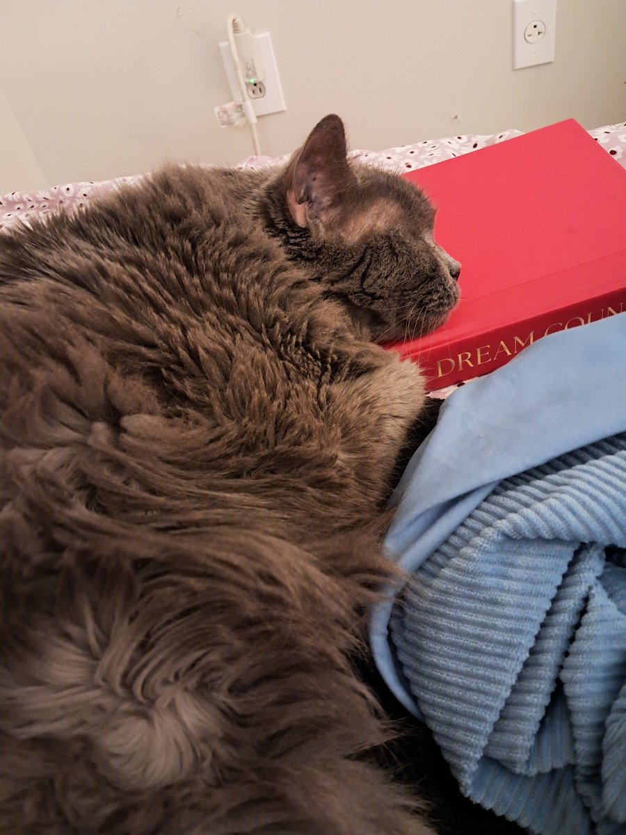 Flaco J. Cattovich tweet media