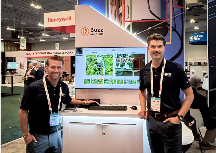 Buzz Solutions tweet media