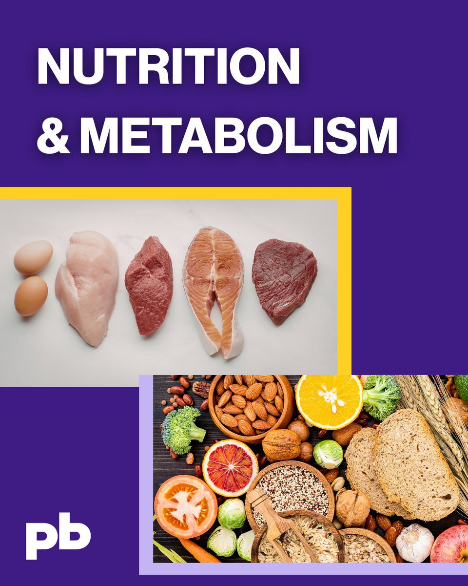 PBRCNews's tweet photo. Did you know the quality of your meals affects metabolism and long-term health? Research at Pennington Biomedical shows that meals rich in protein and fiber help regulate appetite and maintain energy. #NutritionMonth #NutritionResearch #Metabolism #PBRCResearch https://t.co/R40O2HK1Wl