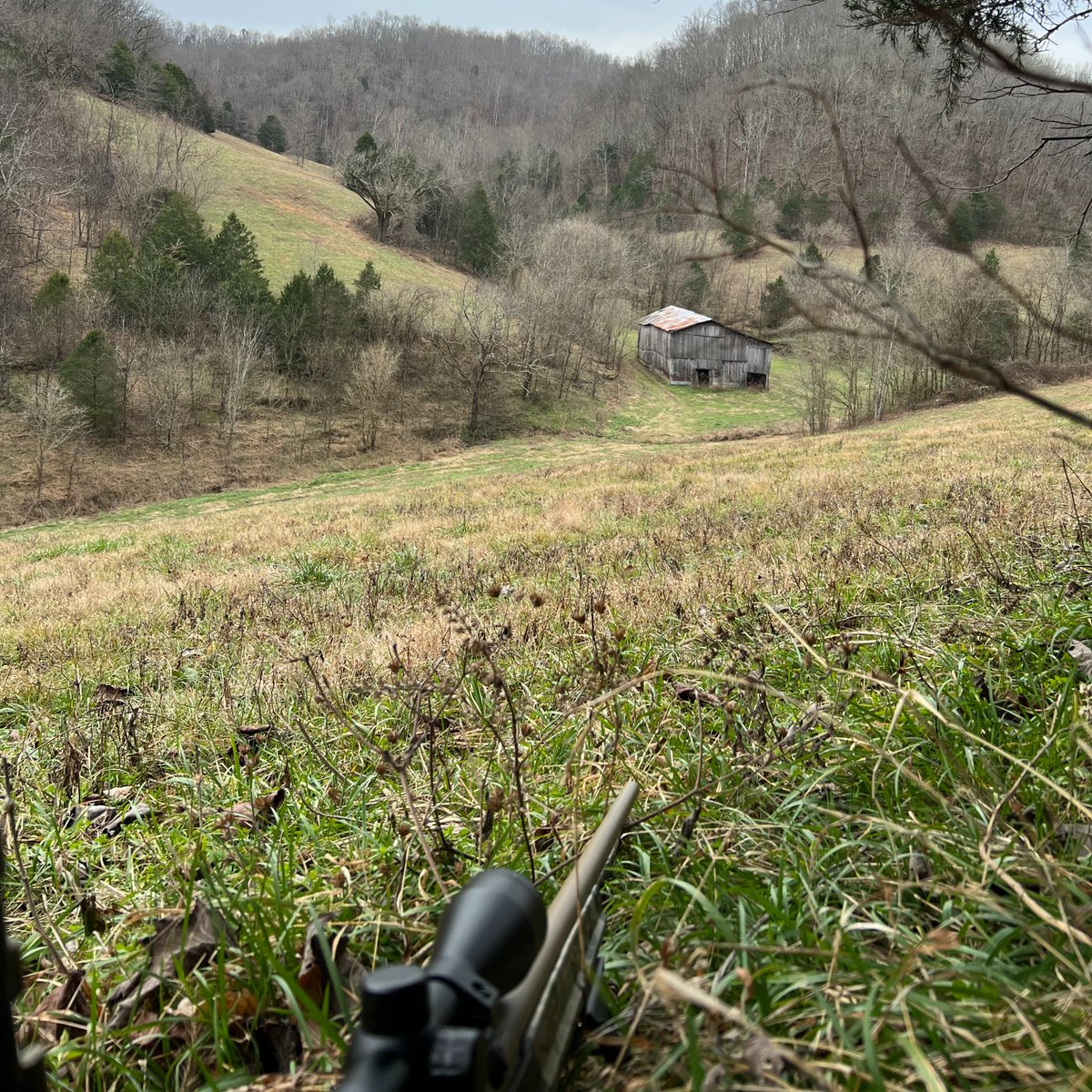 RidgeRunner 🇺🇸 tweet media