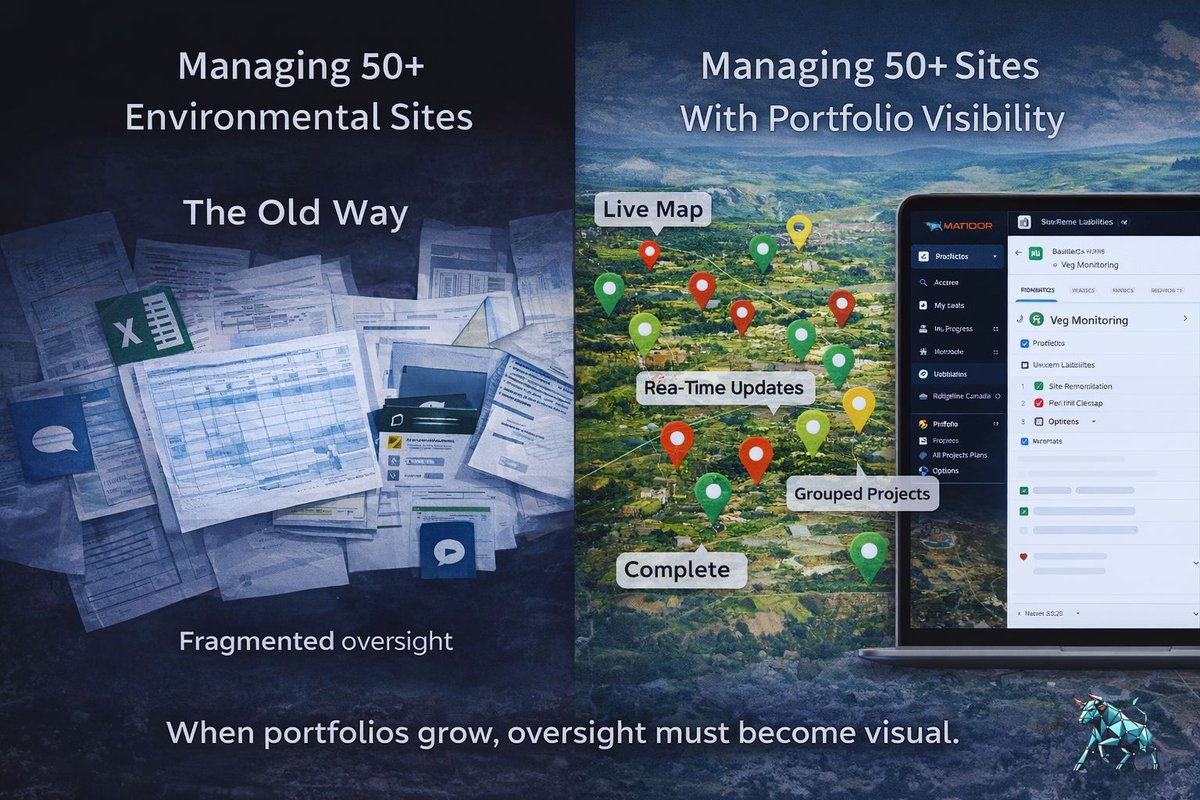 Matidor.com tweet media