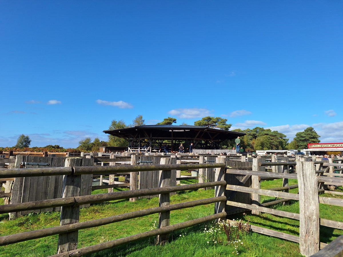 New Forest NPA tweet media