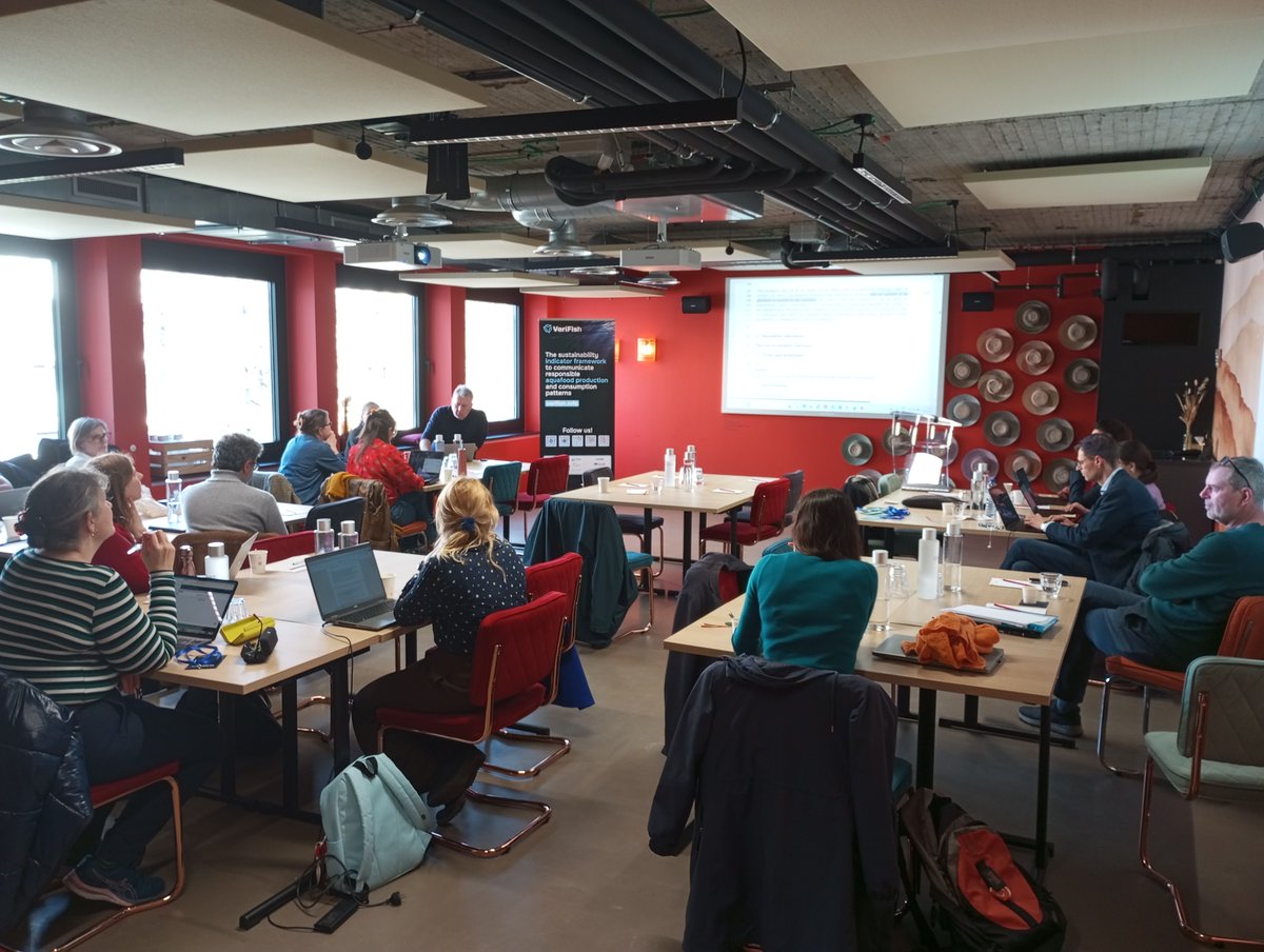 VrFsh_project tweet media