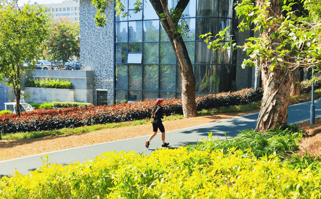 No Regrets Trading Advisor tweet media