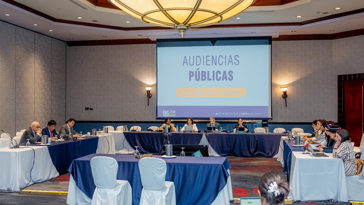 CIDH - IACHR tweet media