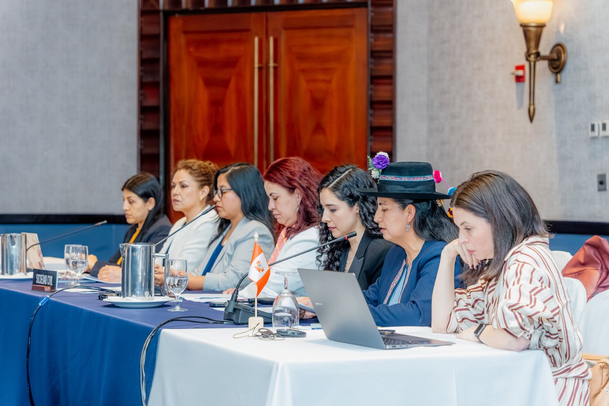 CIDH - IACHR tweet media