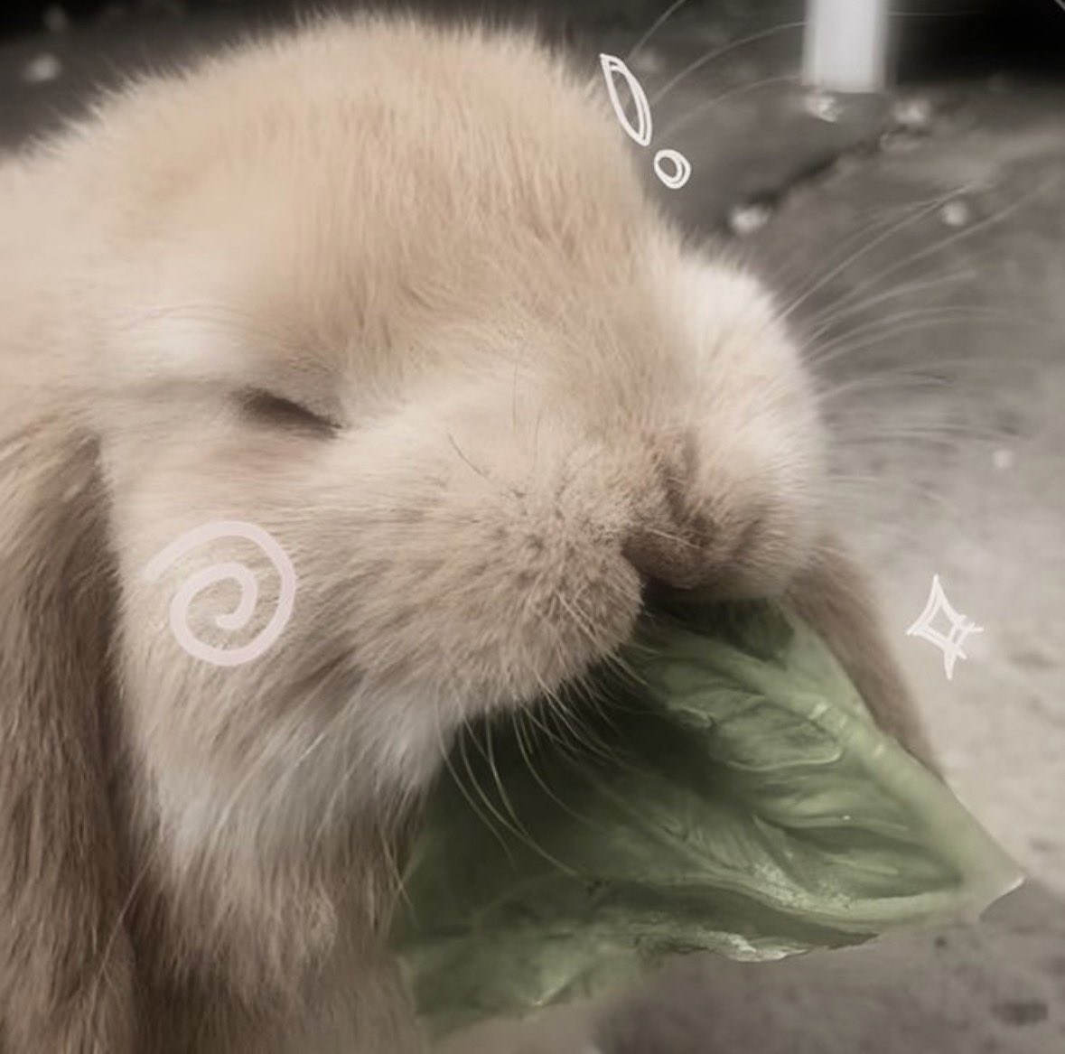 vinilbunny's tweet photo. waking up everyday and eating up all the new versions of byler https://t.co/Mb0XuNVIlB