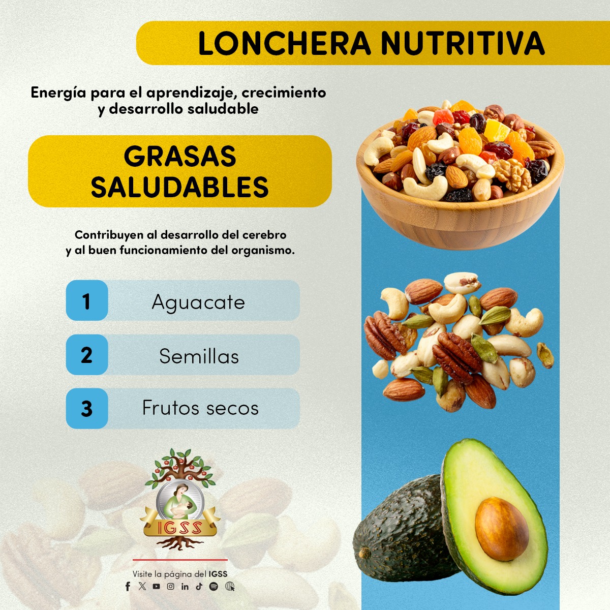 IGSS_gt's tweet image. 🥑🥜 Una lonchera nutritiva hace la diferencia
Las grasas saludables aportan energía para el aprendizaje y favorecen el desarrollo del cerebro. 

Incluye aguacate, semillas y frutos secos para un crecimiento sano y equilibrado. 💪🧠

#LoncheraSaludable #VidaSaludable