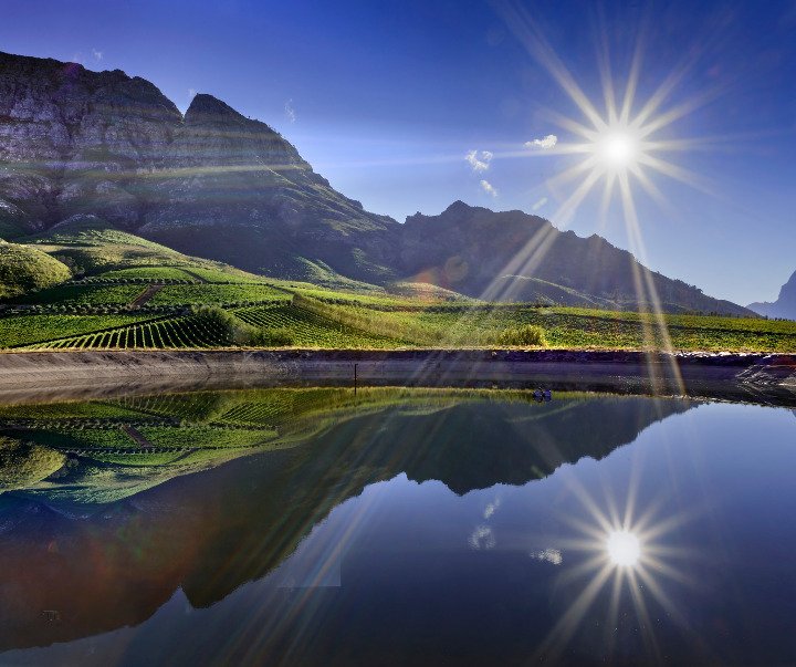 Winemag tweet media