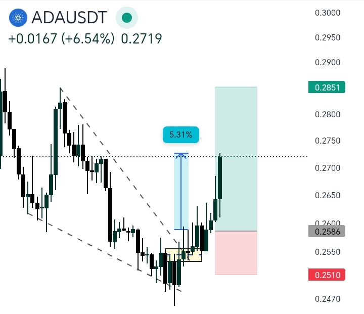 AYMAN 📈 tweet media
