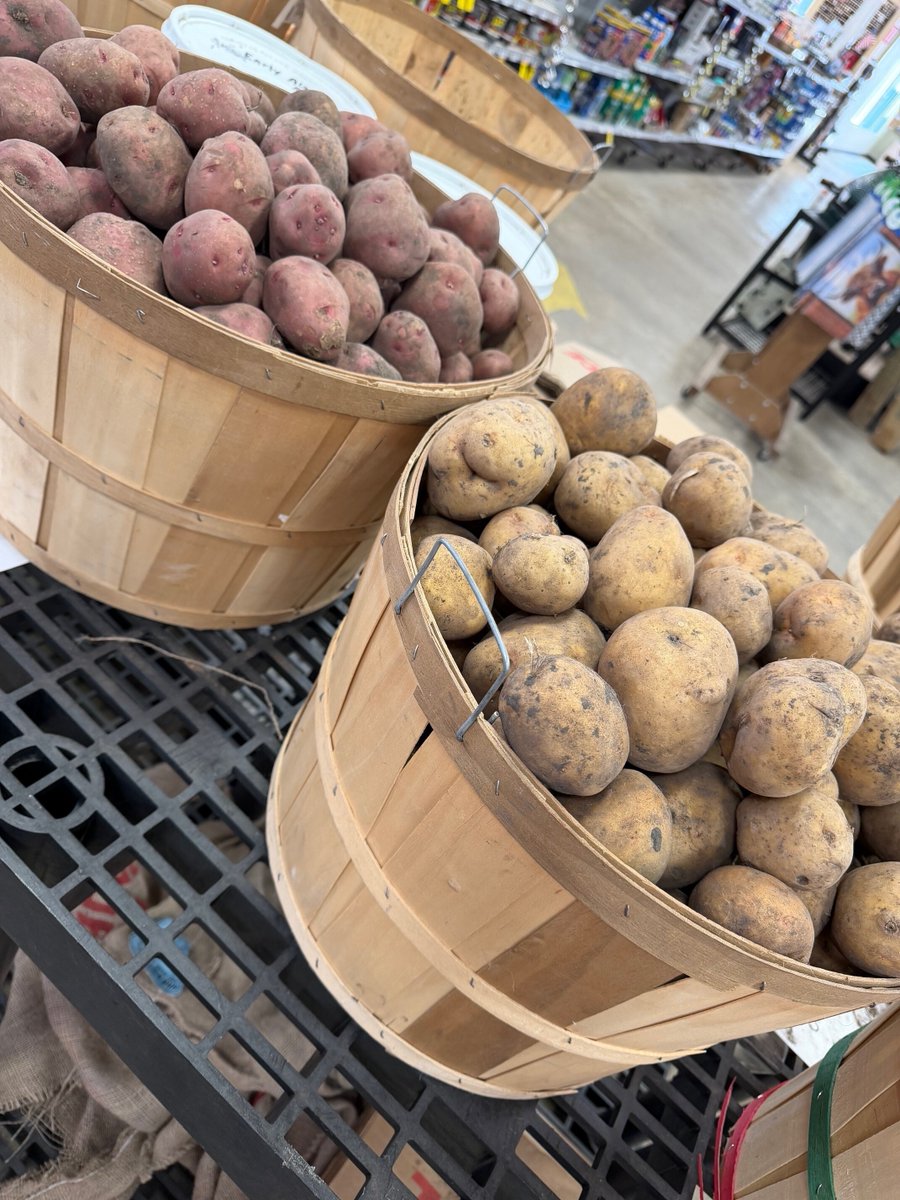 kqh74's tweet image. Gardening season is here! 🌱 Visit your local Kenny Queen's for top-quality supplies and get your garden started today! 🌸 #GardenGoals #AceHardware