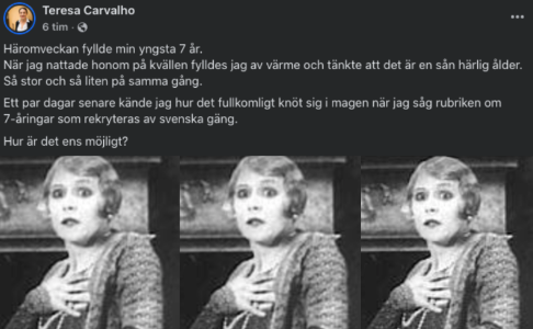 JensGanman's tweet photo. Hur kan S ha en rättspolitisk taltratt som ställer naiva frågor som "Hur är det möjligt?" ... alltså att gängen rekryterar 7-åringar? Under decennier har hennes eget parti fyllt landet med unga män från aggressiva, anti-demokratiska, kvinnofientliga, destruktiva, normlösa, skitkulturer. Då blir det så här, Teresa. Och det vet du givetvis. Men du spelar dum. Igen. (... sen kan man verkligen invända mot formuleringen "svenska" gäng ... De är inte det minsta svenska. Det vet du också.)