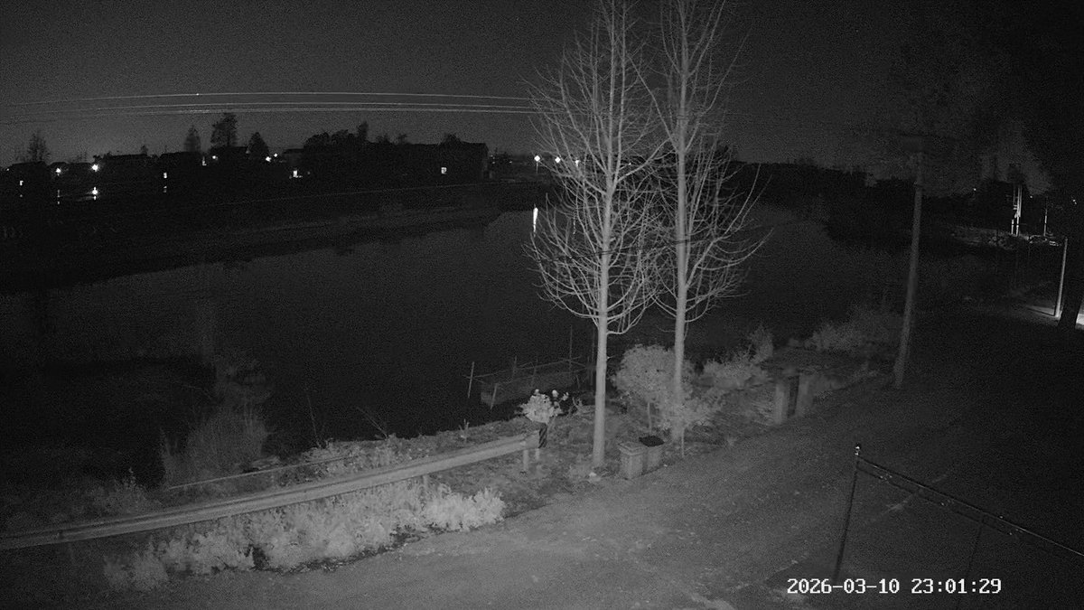 活在当下 tweet media