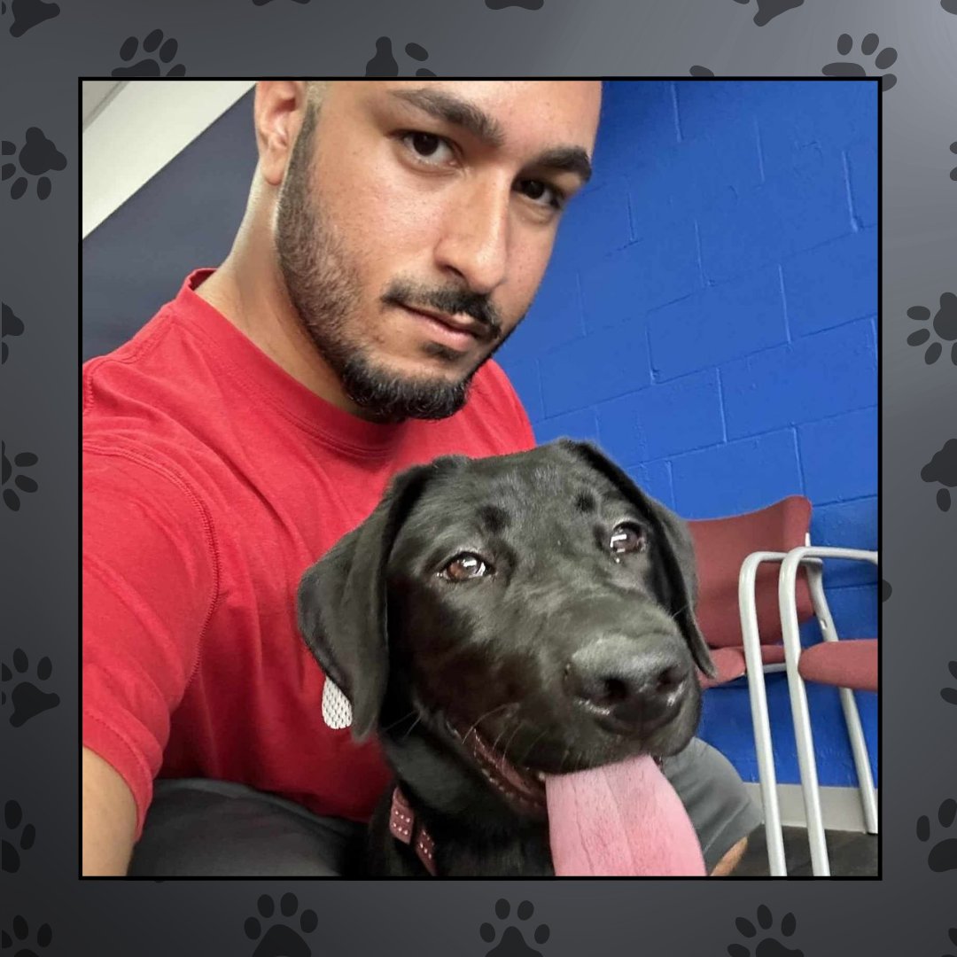 BulletproofDog_'s tweet photo. Safe play and proper behavior go hand in hand. Our dog socialization training sessions help pups build lifelong skills in a positive setting. Book with us today to watch your dog flourish in every environment. #DogSocializationTraining
https://t.co/BY15YwqIWW https://t.co/9Vi1WaAyfp