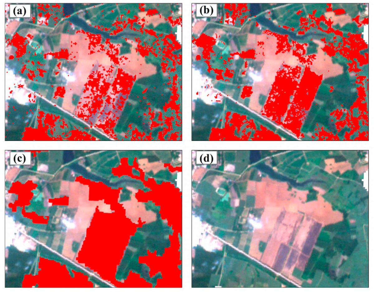 RemoteSens_MDPI's tweet image. 🌿🌿 Parcel-Based #Sugarcane #Mapping Using Smoothed #Sentinel1 Time Series Data

✍️ Hongzhong Li et al.
🔗 brnw.ch/21x0Cgc