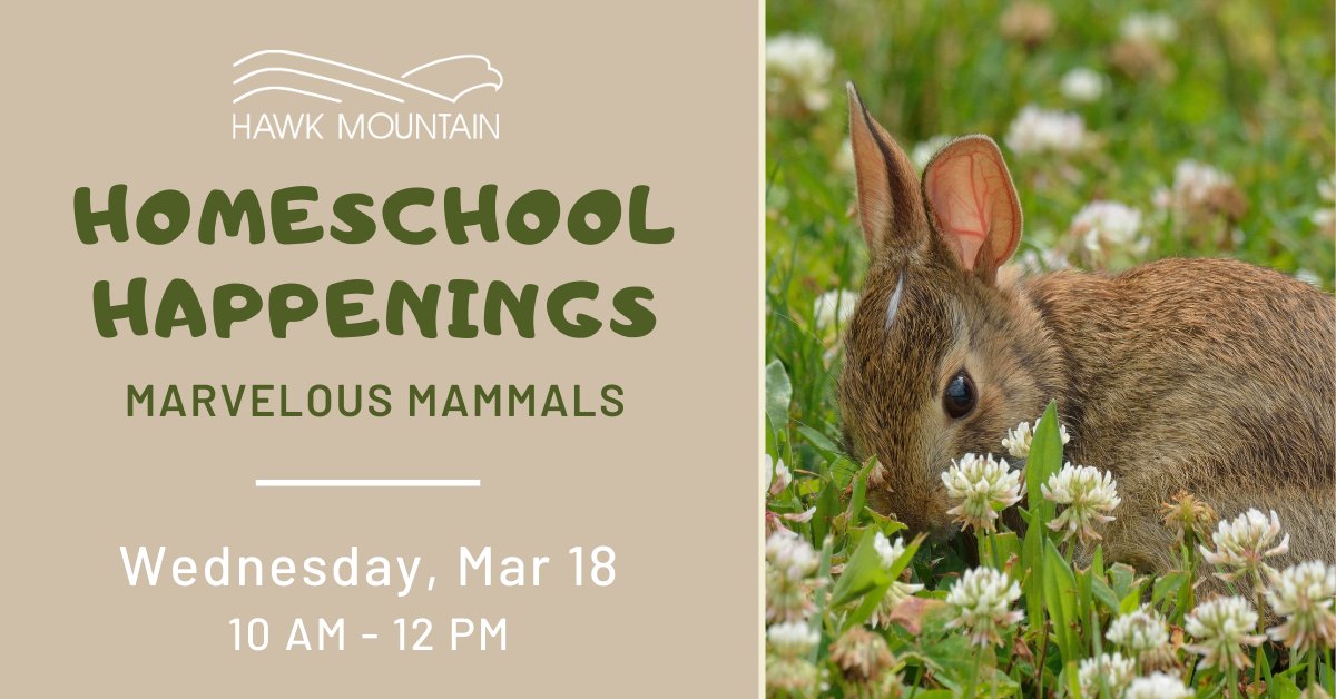 Hawk Mountain tweet media