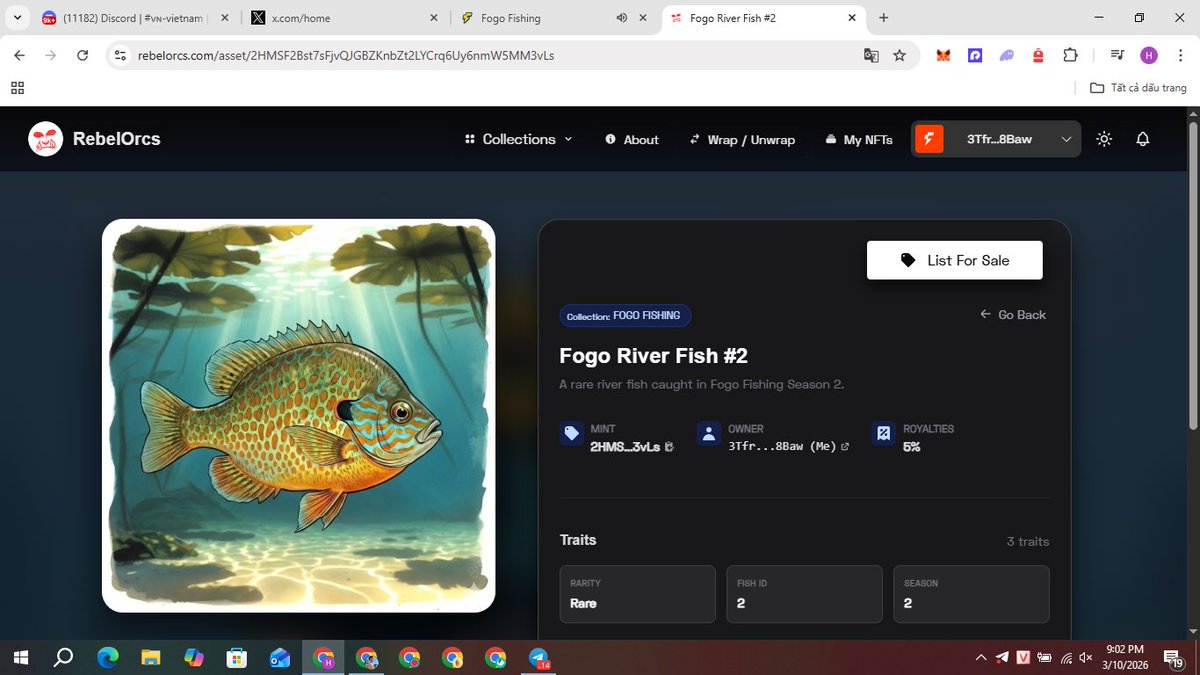 Fex-T🎋🦇 tweet media