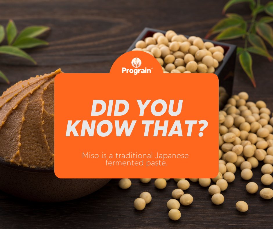 Prograin tweet media