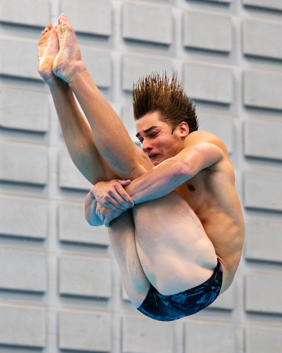 Omaha Swimming and Diving tweet media