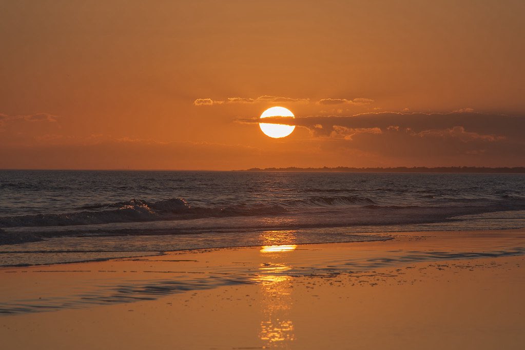 Old Row Carolina tweet media