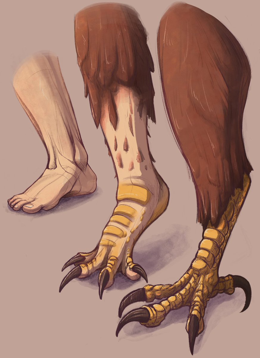 Busy working on a couple things so didn’t have time for a new TF sequence. Decided to colour this sketch in!