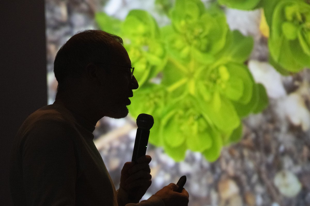 intermediae tweet media