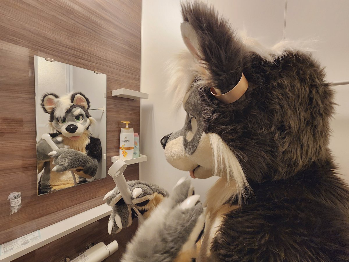 くるくる🔜FURST CLASS🇰🇷 tweet media