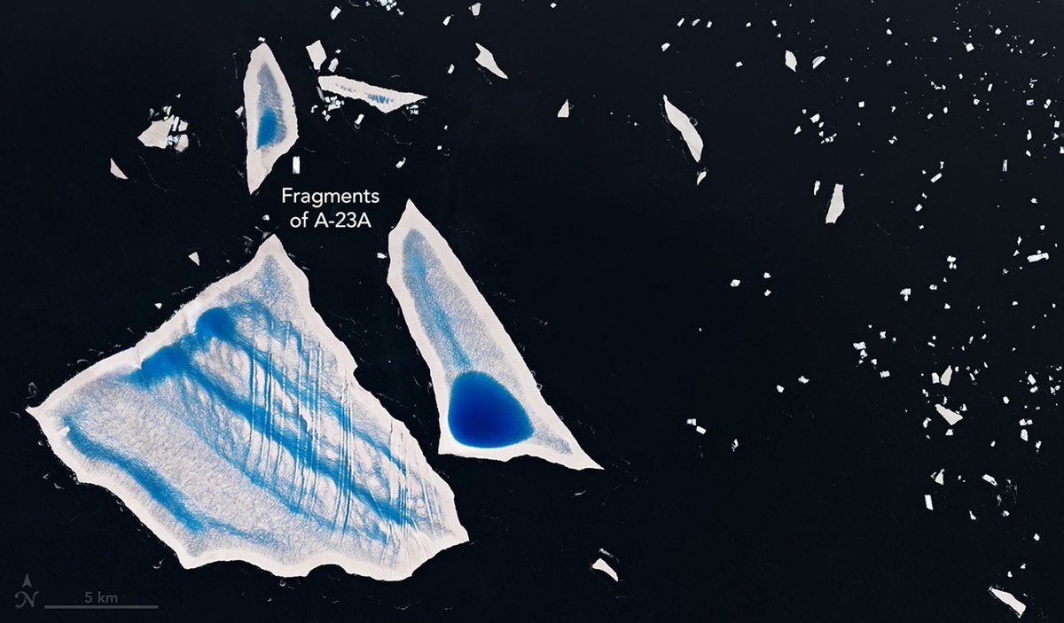 NASA Earth tweet media