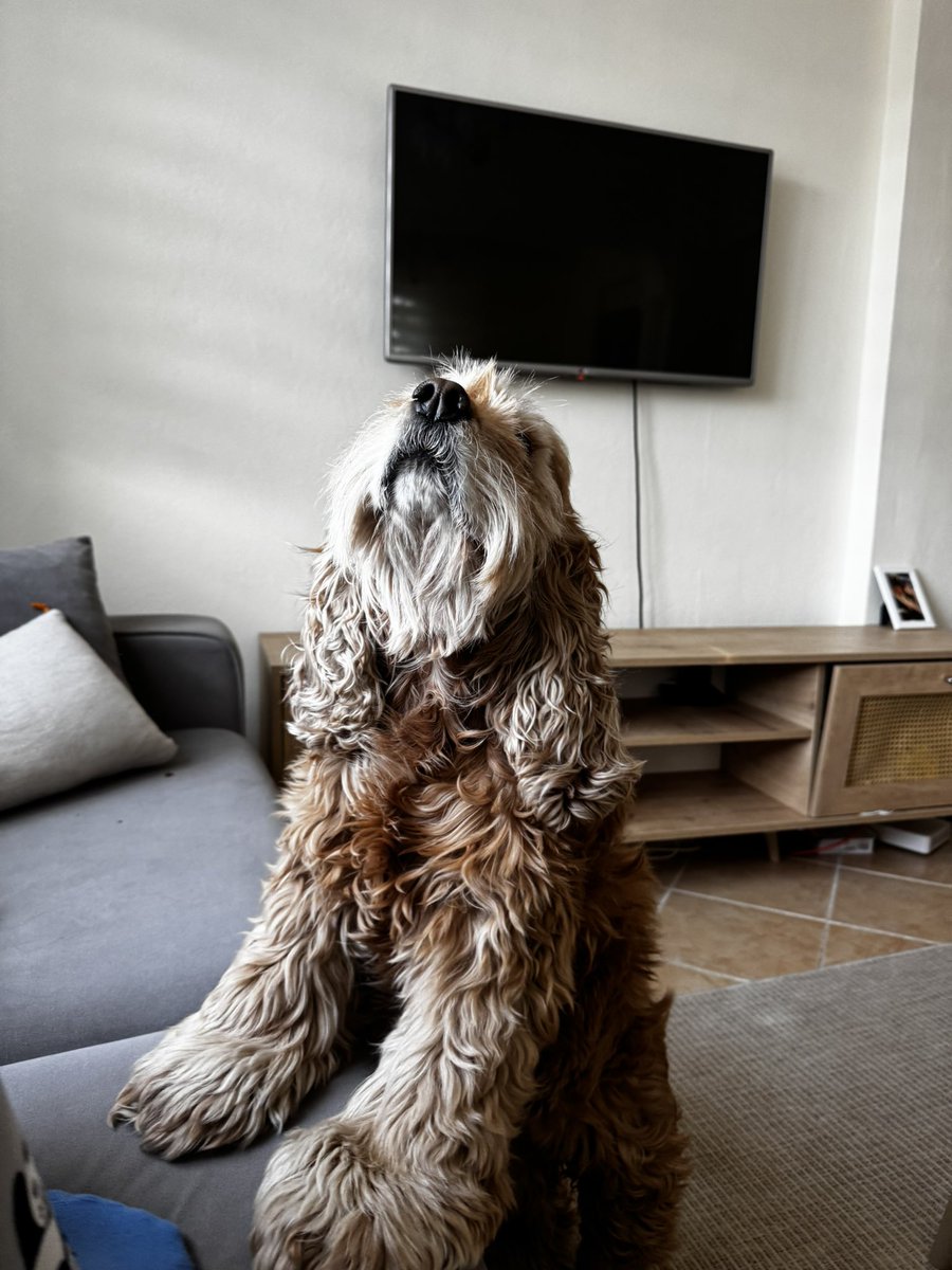 yuva nerede ? göklerde mi