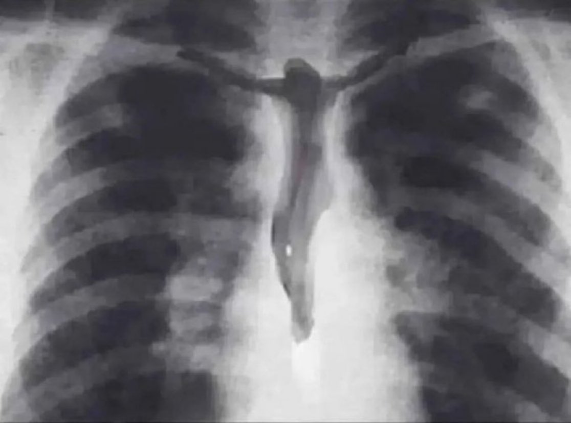 Jesus Cris†o tweet media