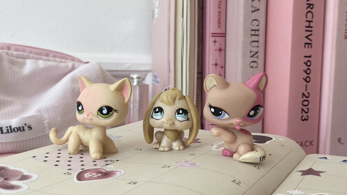 meus lps q tem quase minha idade