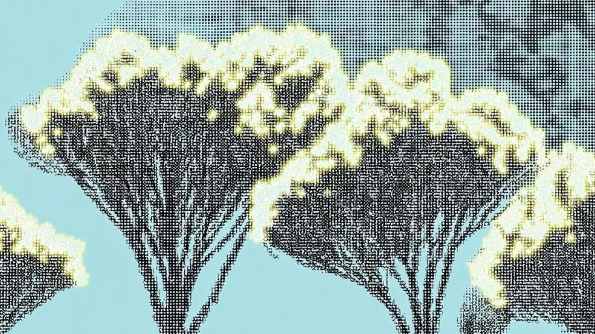 Funding the Commons tweet media