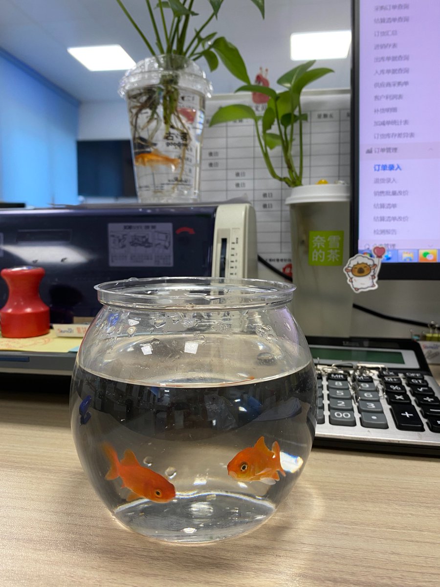 carette fabrice tweet media