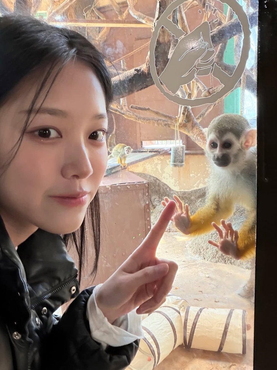 i met with cutie <a href="/soobzin/">SB.</a> today! look how his eyes sparkled brightly when he saw me. such a tiny moment, but it felt incredibly sweet and made my heart warm. 🐒 ❤︎⁠