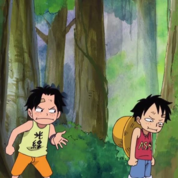 straw hat fuly tweet media