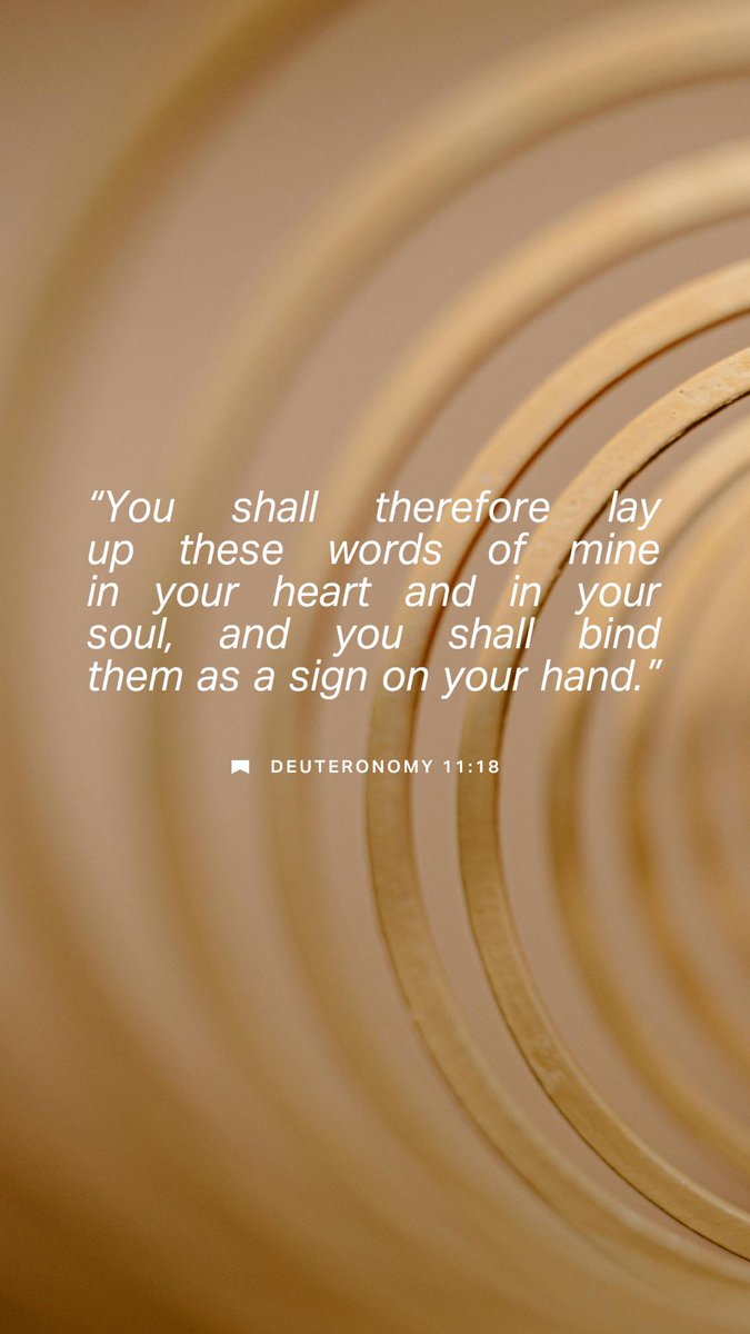 CentralPSL's tweet photo. Bible readings for March 10:
Old &amp; New: Deuteronomy 10 - 12; Mark 12
Straight Through: Joshua 18 - 20
Chronological: Numbers 35 - 36
May God bless you today in the reading of His Word. https://t.co/UHRxjDJaUZ
