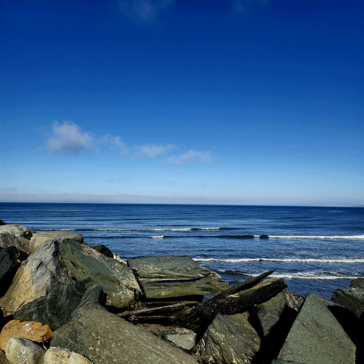 Corbin by the Coast 🇨🇦 tweet media