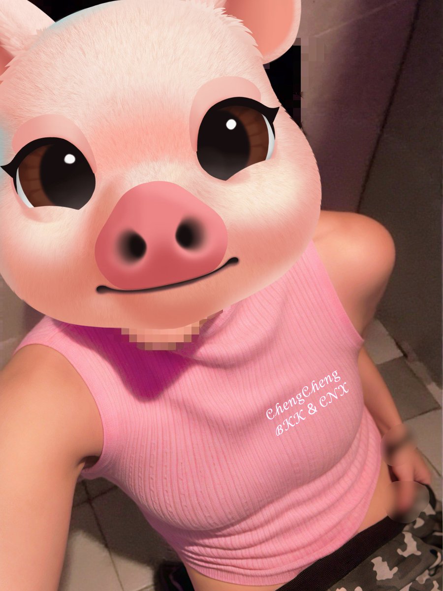 橙橙 เชงเชง นางพญา tweet media