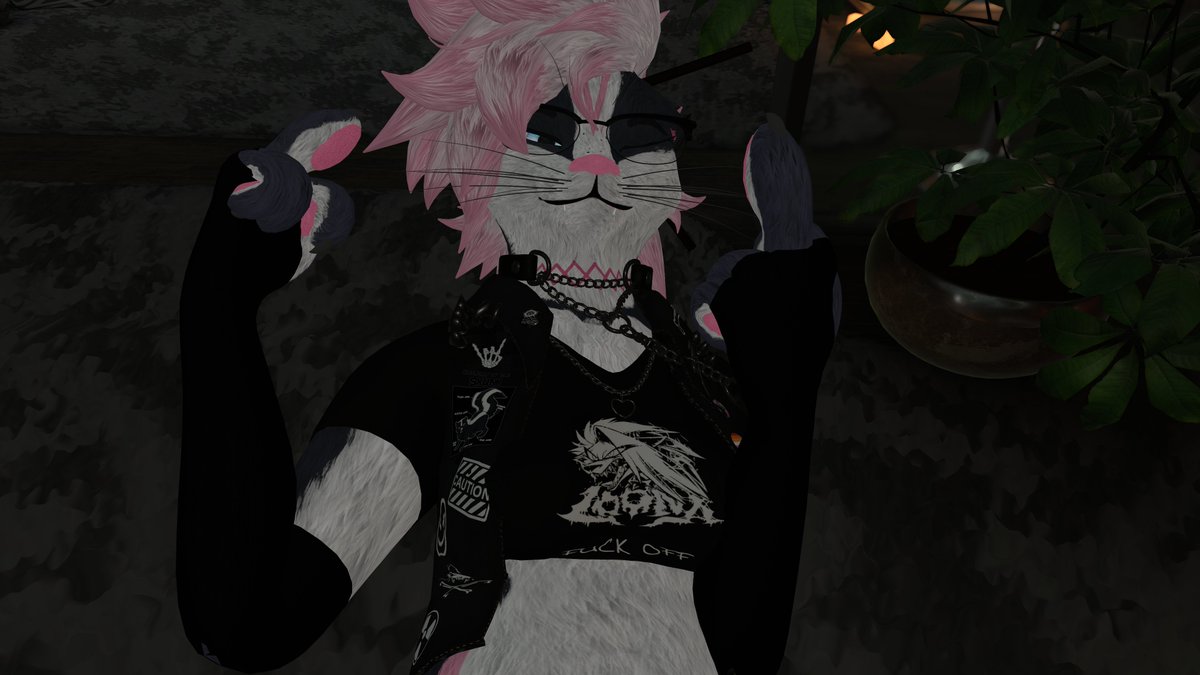 🦨🏳️‍⚧️Teagan The Skunk🏳️‍⚧️🦨 tweet media