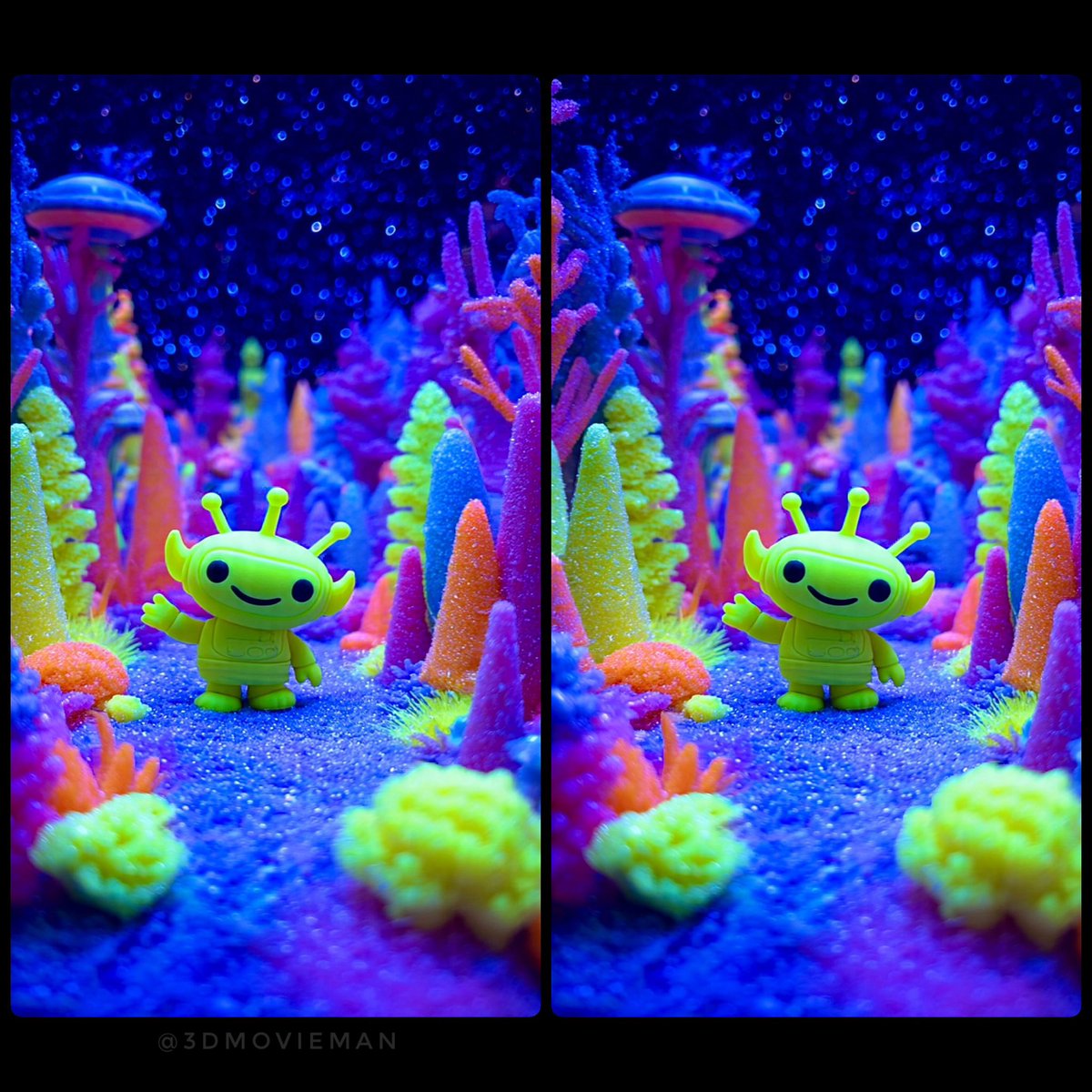 William Turner tweet media