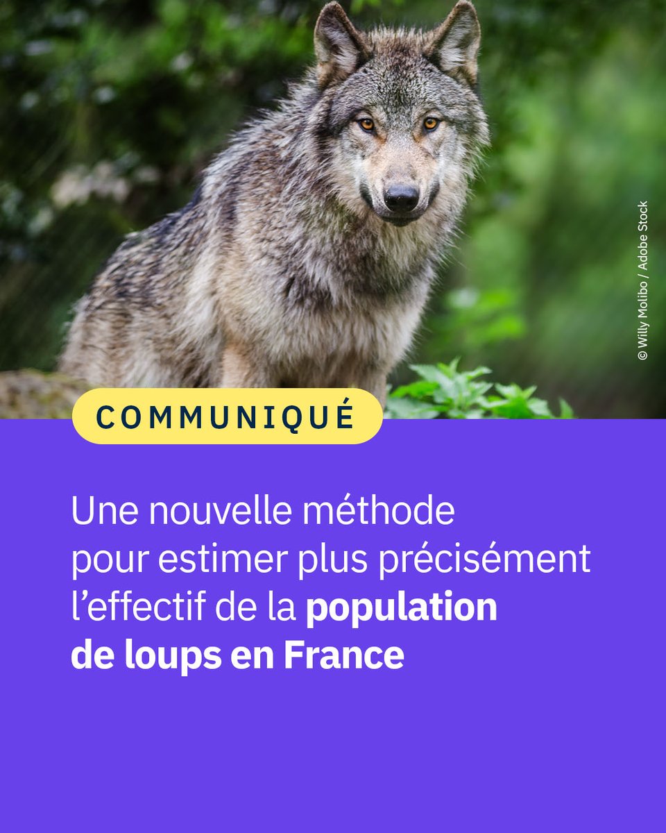 CNRS 🌍 tweet media