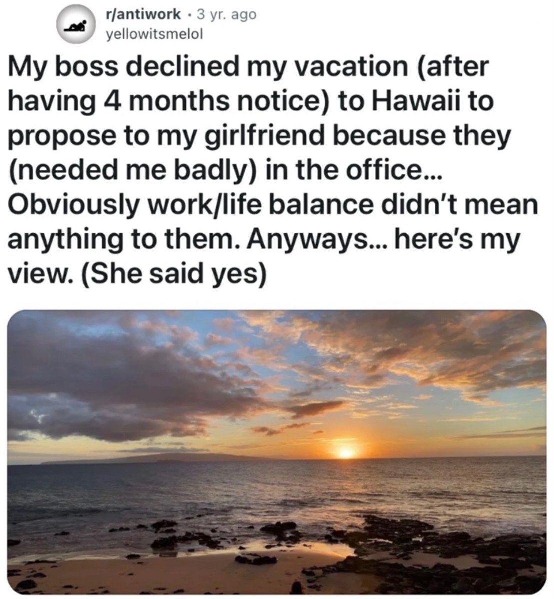 Work Memes tweet media