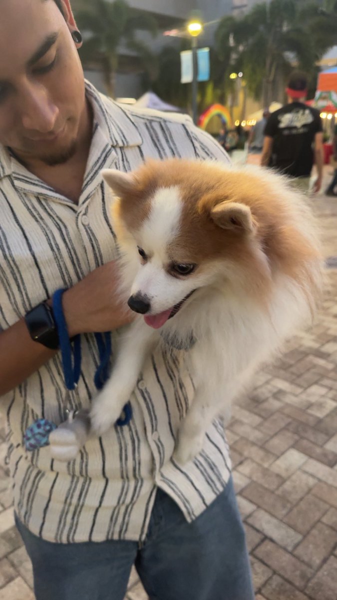 Family and Community Engagement-BCPS tweet media