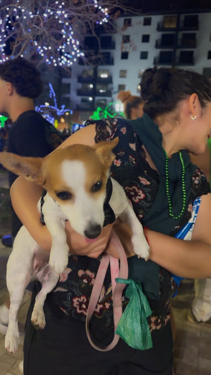 Family and Community Engagement-BCPS tweet media