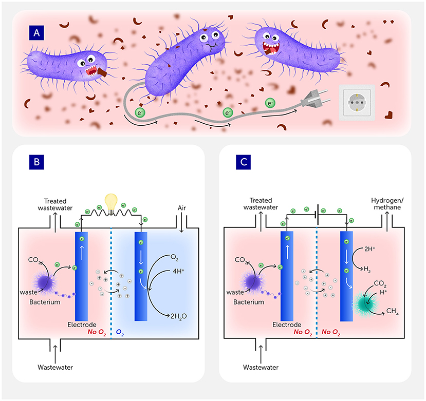 Frontiers in Science tweet media